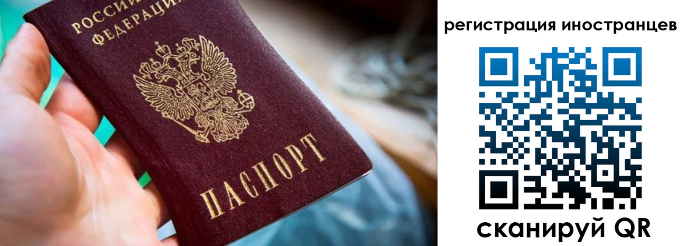 прописка от собственника в Чистополье